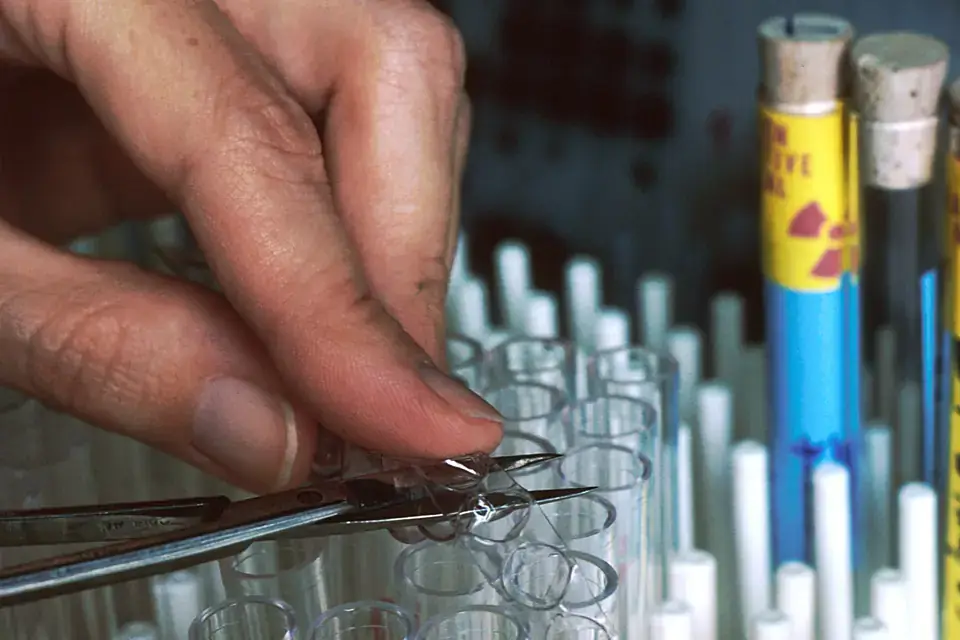 Made in a laboratory